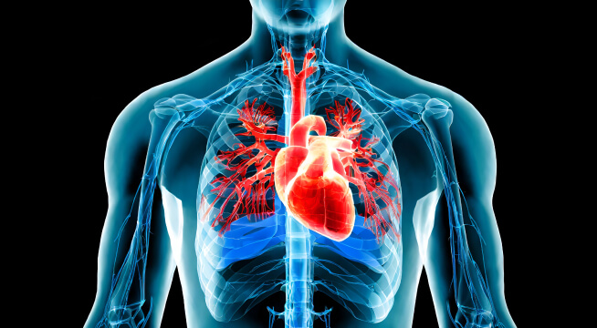 循環器動画ネットワークシステム