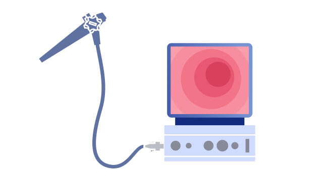 内視鏡画像管理システム