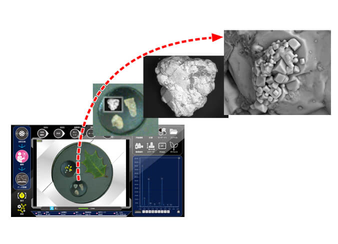 光学像からSEMへシームレス移行 イメージ