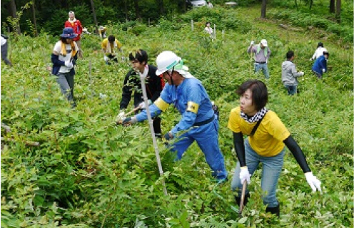下草刈り イメージ