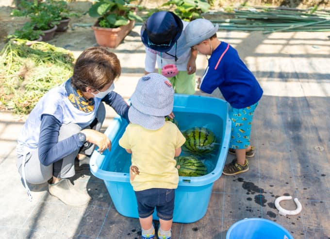 Mファーム収穫祭