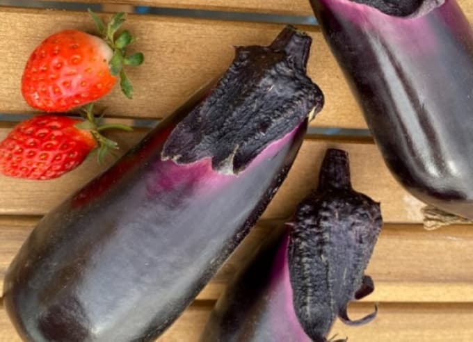  Mファーム 収穫第1号